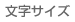 文字サイズ